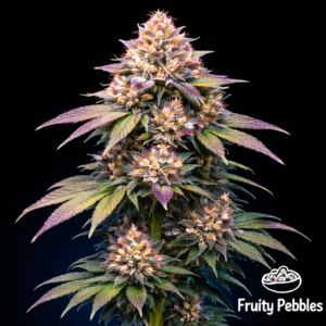 Fruity Pebbles